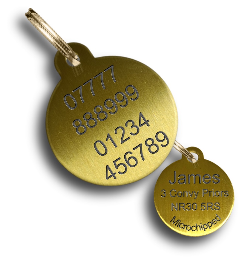 Brass Dog Tag - Disc with Tab