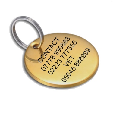 Solid Brass Dog id Tag Solid Brass Dog id Tag