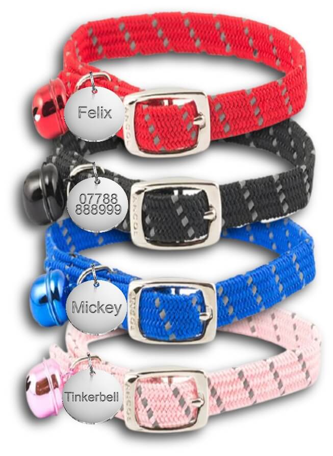 Cat Collar with Name Tag Cat Collar with Name Tag